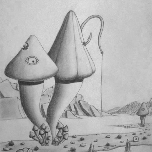 SNUB IN THE LAND OF THE GIANT MUSHROOMS
