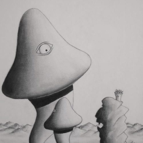 DON'T WORRY IT'S JUST A ROCK!