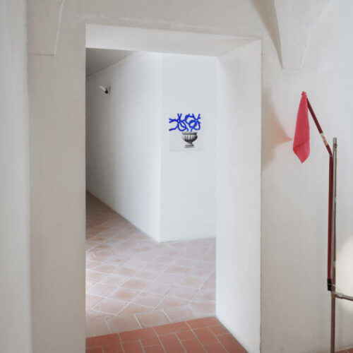 8- Installation view D3cam3ron3