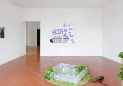 Fiori da balcone - Installation view with Chiara fantaccione